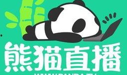 熊猫面具爆料视频大全,视频大全带你探秘神秘面纱背后的故事