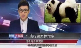 大鹏养家爆料新闻事件,真相背后引人深思