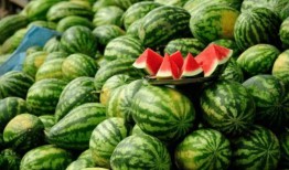 有哪些网红被吃瓜,盘点那些因吃瓜事件引发热议的明星